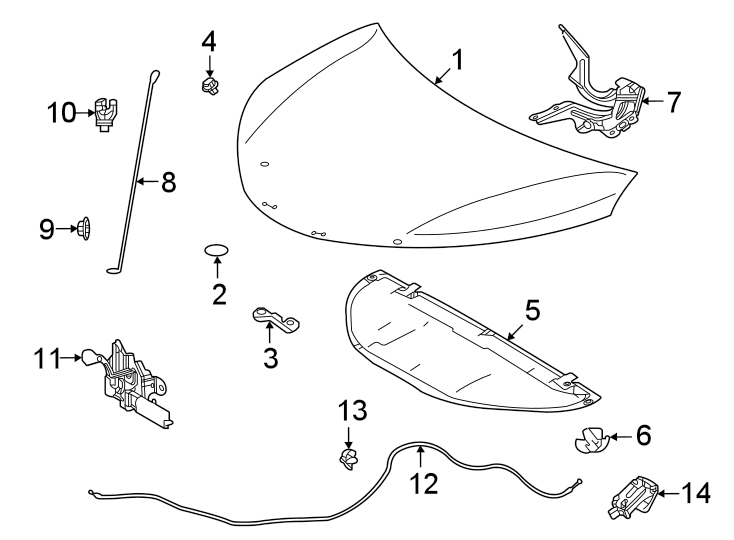 Diagram Hood & components. for your 2015 Toyota Tundra  SR Standard Cab Pickup Fleetside 