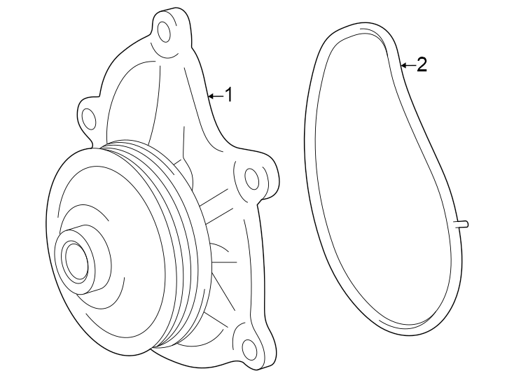 Diagram Water pump. for your 1992 Toyota Corolla   