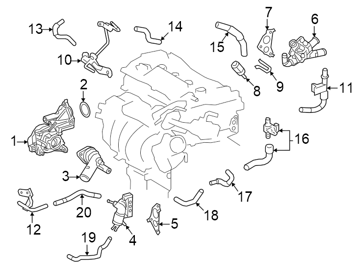 Diagram Radiator & components. for your 2020 Toyota Prius   