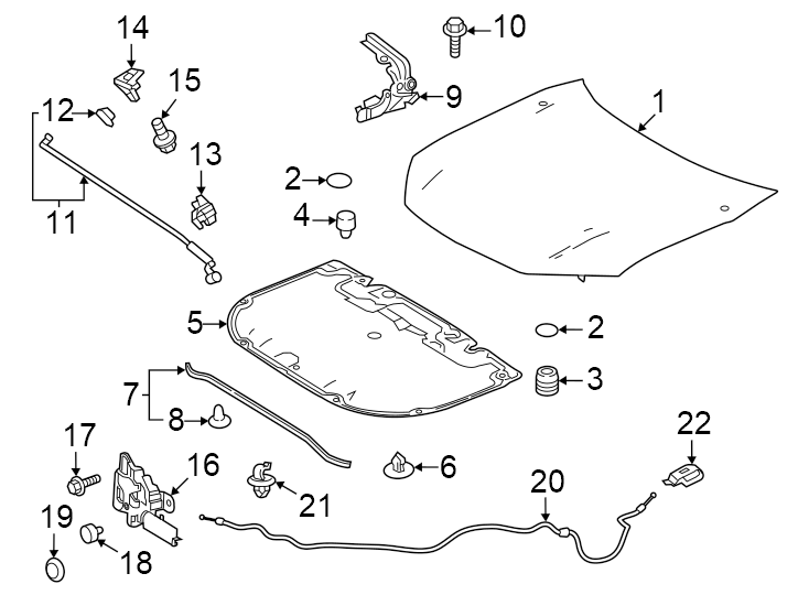 Diagram Hood & components. for your 2020 Toyota Prius Prime  XLE Hatchback 