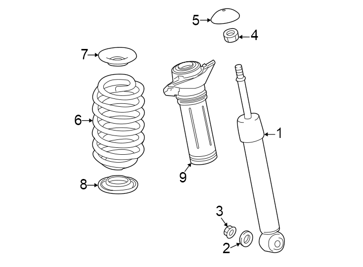 Diagram Rear suspension. Shocks & components. for your 2025 Toyota Camry   