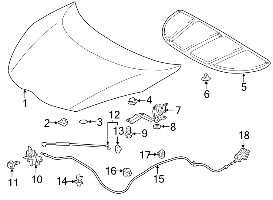 Diagram HOOD & COMPONENTS. for your Toyota