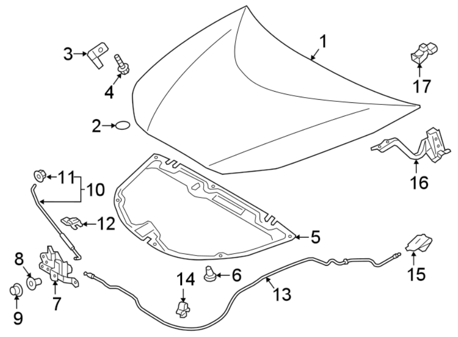 Diagram HOOD & COMPONENTS. for your 2021 Toyota Highlander  L Sport Utility 