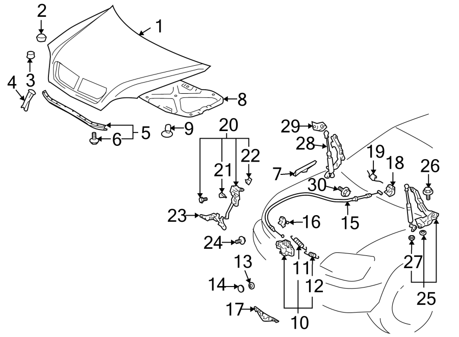 Full size assembly image of HOOD & GRILLE. HOOD & COMPONENTS. (1/1)