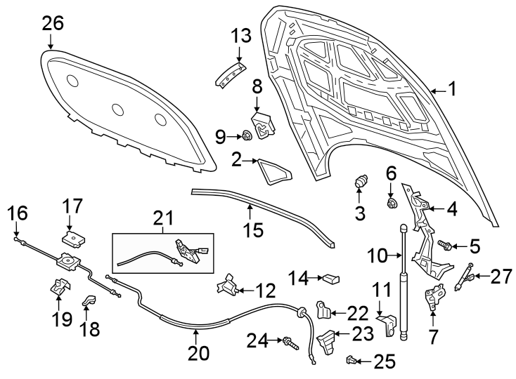 HOOD & COMPONENTS.