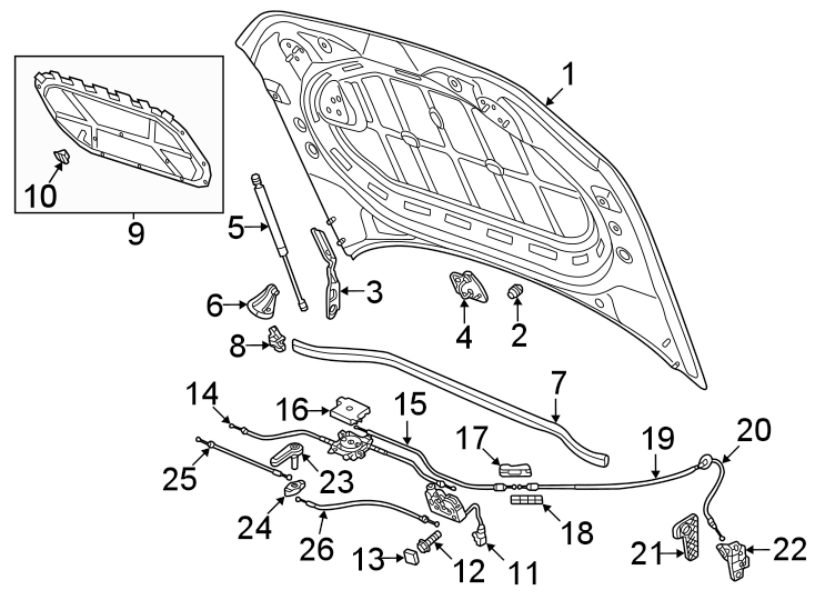 20Hood & components.https://images.simplepart.com/images/parts/motor/fullsize/9265157.png