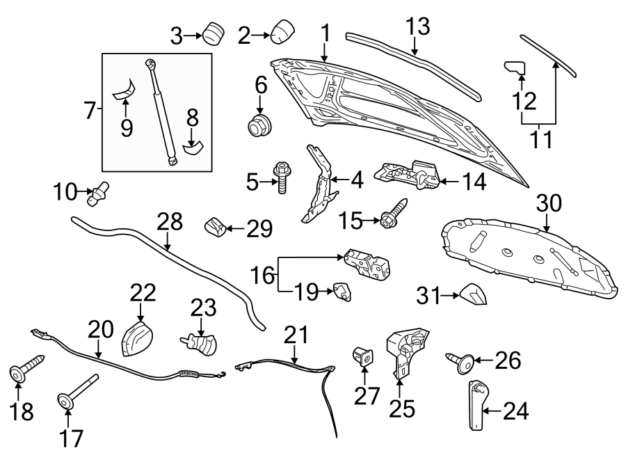 HOOD & COMPONENTS.