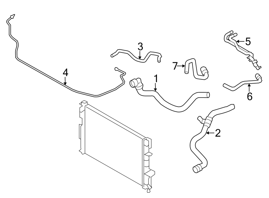 HOSES & LINES.