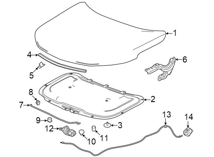 Diagram Hood & components. for your 2020 Chevrolet Suburban    