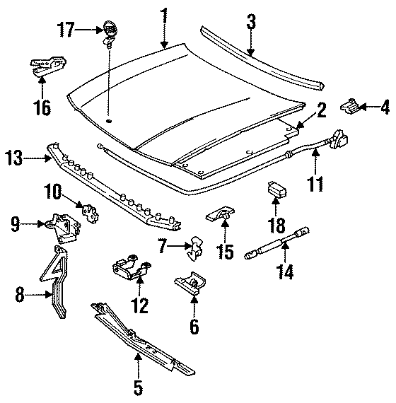 HOOD & COMPONENTS. Diagram