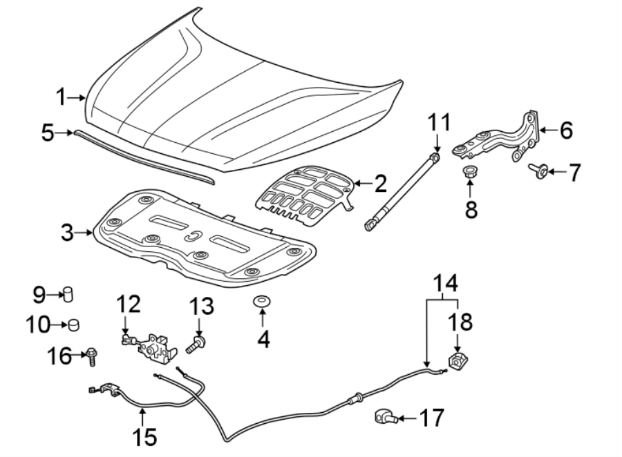 Diagram HOOD & COMPONENTS. for your 2018 Buick Enclave  Base Sport Utility  