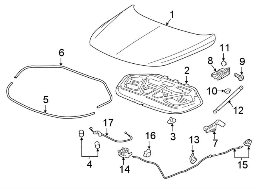 2HOOD & COMPONENTS.https://images.simplepart.com/images/parts/motor/fullsize/AH17075.png