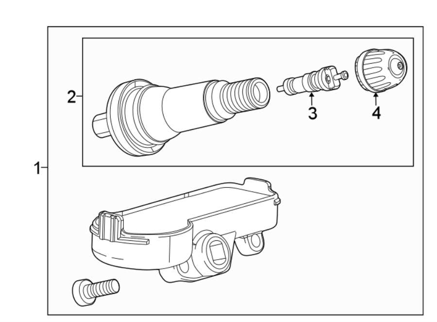 1TIRE PRESSURE MONITOR COMPONENTS.https://images.simplepart.com/images/parts/motor/fullsize/AK16165.png