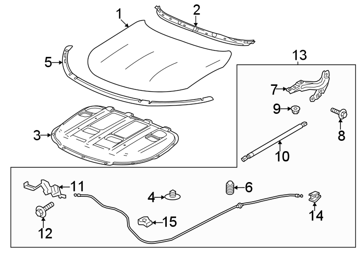 Hood & components.