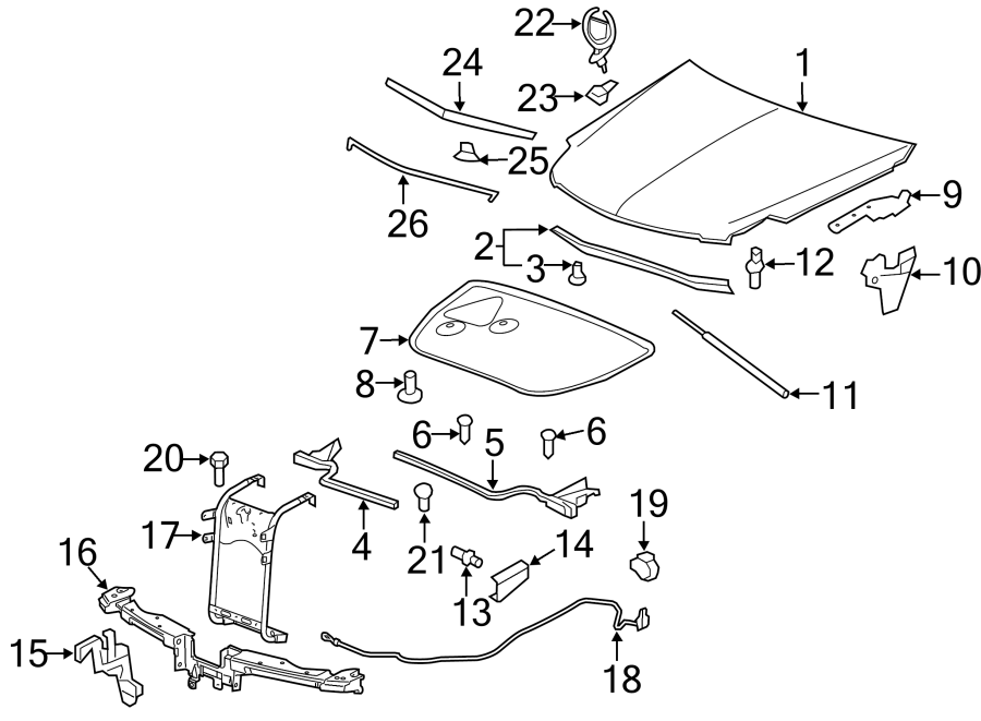 Diagram EXTERIOR TRIM. HOOD & COMPONENTS. for your 2020 Chevrolet Suburban    