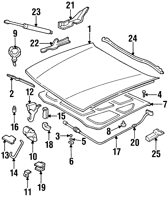 HOOD & COMPONENTS. Diagram