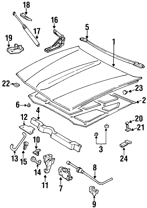 Diagram HOOD & COMPONENTS. for your 2020 Chevrolet Suburban    