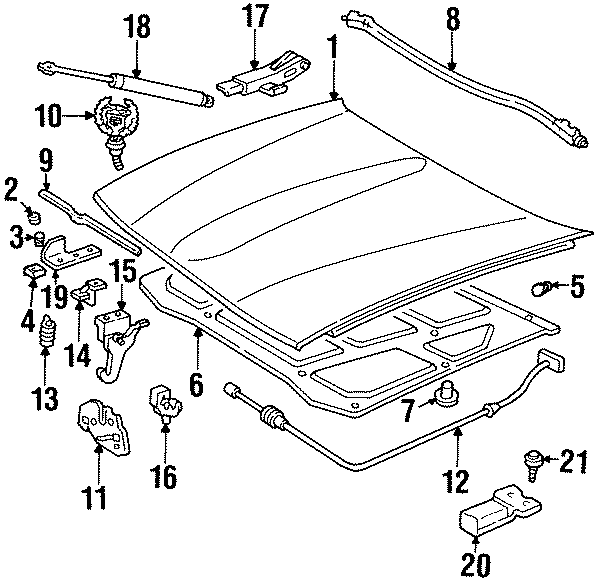 Diagram HOOD & COMPONENTS. for your 2020 Chevrolet Suburban    