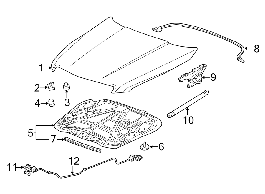 Diagram Hood & components. for your 2021 Chevrolet Trailblazer   