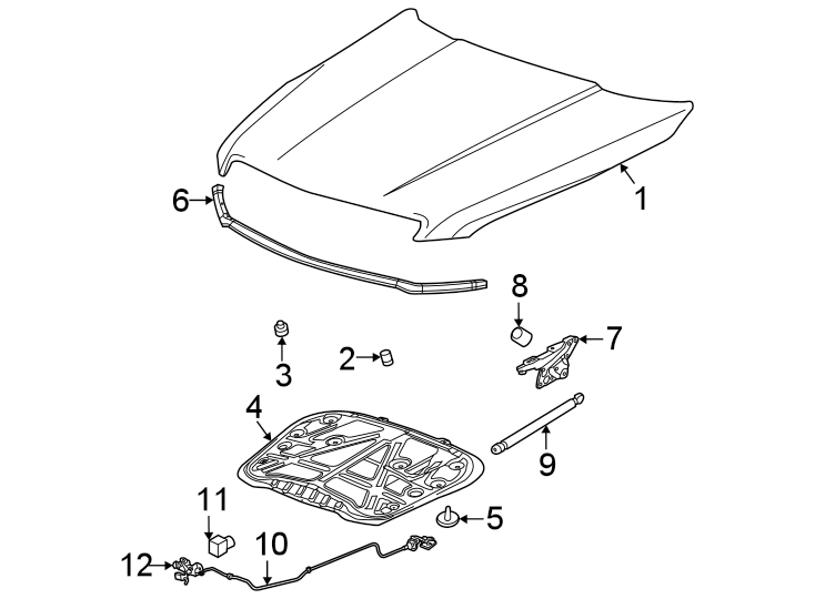 1Hood & components.https://images.simplepart.com/images/parts/motor/fullsize/BF20180.png