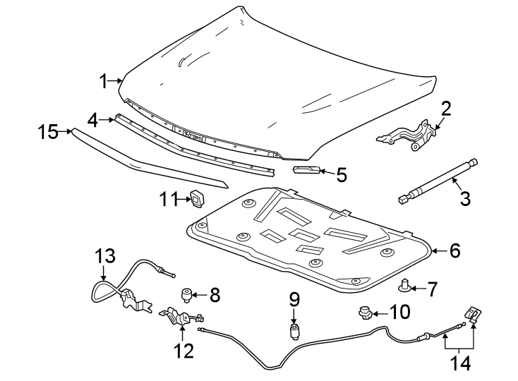 Diagram Hood & components. for your 2020 Chevrolet Suburban    