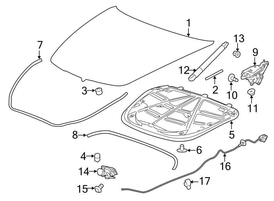 Diagram HOOD & COMPONENTS. for your 2015 Chevrolet Suburban    