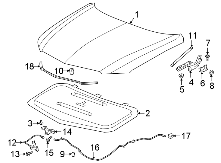 10HOOD & COMPONENTS.https://images.simplepart.com/images/parts/motor/fullsize/BN20120.png