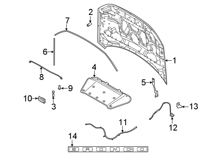 Diagram Hood & components. for your 2021 Ford Bronco Sport   