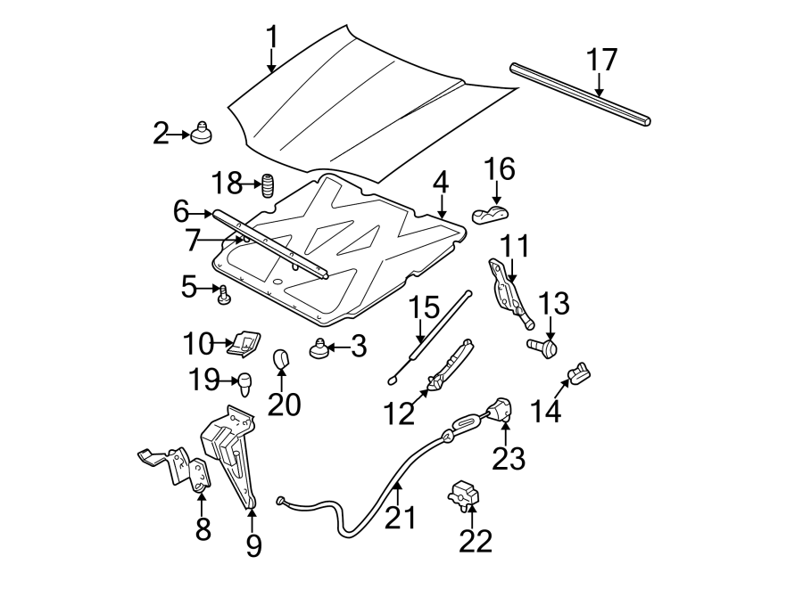 Diagram HOOD & COMPONENTS. for your 2007 Chevrolet Trailblazer   