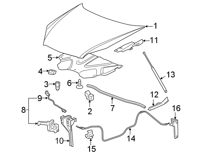 Diagram Hood & components. for your 2007 GMC Sierra 1500 Classic SL Standard Cab Pickup  