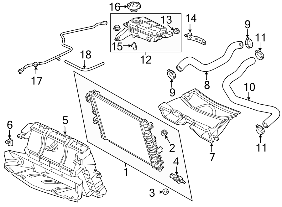 Diagram RADIATOR & COMPONENTS. for your 2008 GMC Acadia   