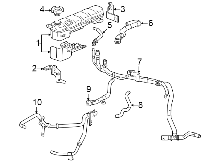 Radiator hoses.