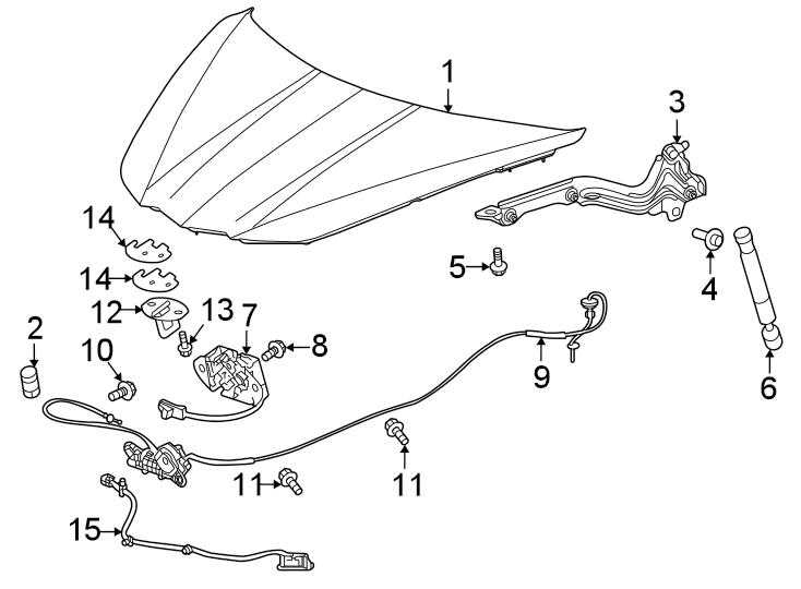 Hood & components. Diagram