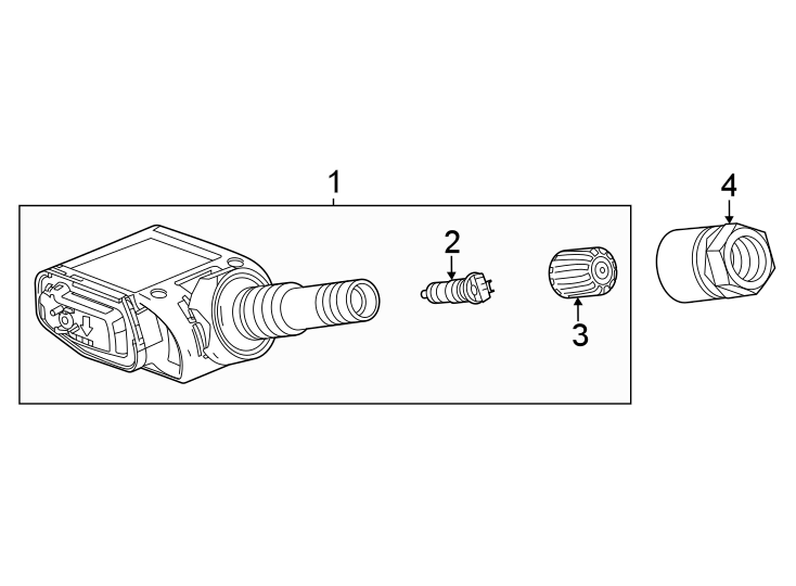 Tire pressure monitor components.