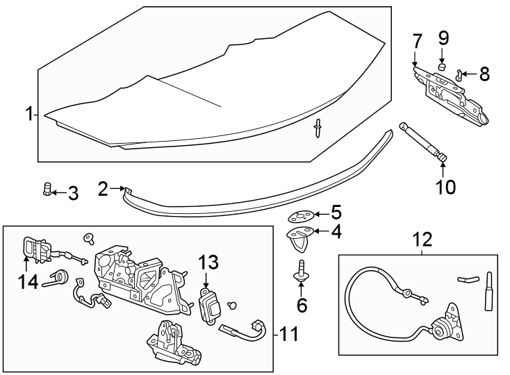 Diagram Trunk lid. Exterior trim. Lid & components. for your 2024 Chevrolet Corvette Stingray Convertible  