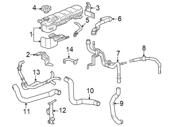 Radiator hoses.