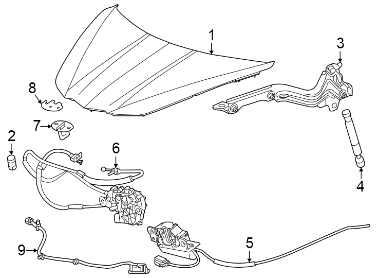 Hood & components. Diagram