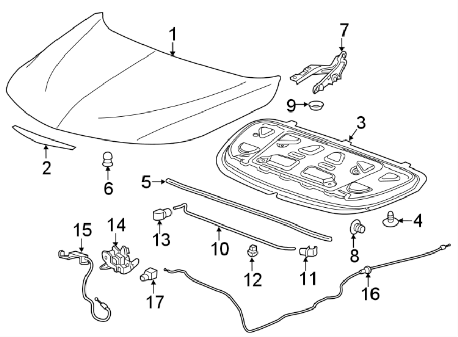 Diagram HOOD & COMPONENTS. for your Buick Regal TourX  