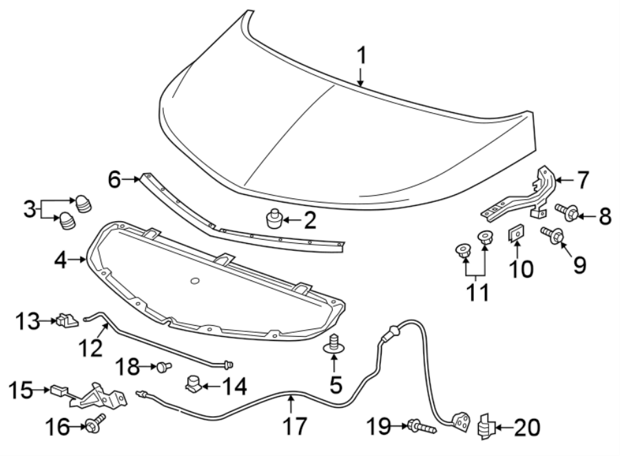 Diagram HOOD & COMPONENTS. for your 2013 Chevrolet Equinox   