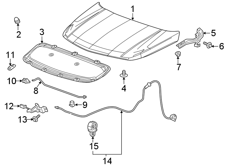 Diagram Hood & components. for your 2019 Chevrolet Express 3500   