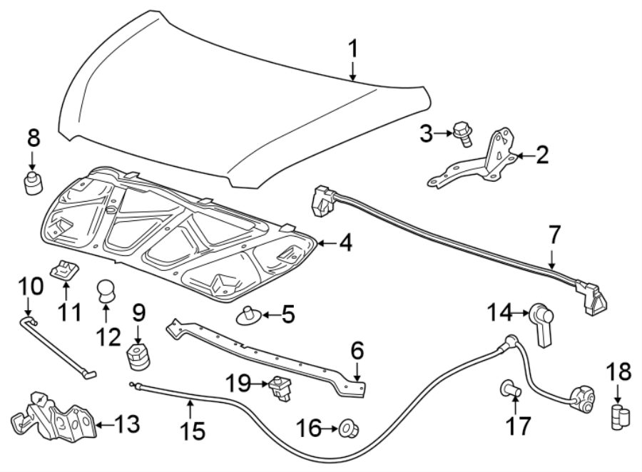 Diagram HOOD & COMPONENTS. for your Chevrolet