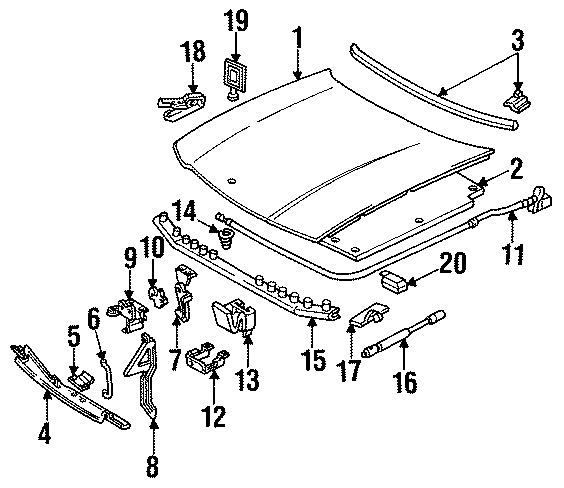 HOOD & COMPONENTS. Diagram