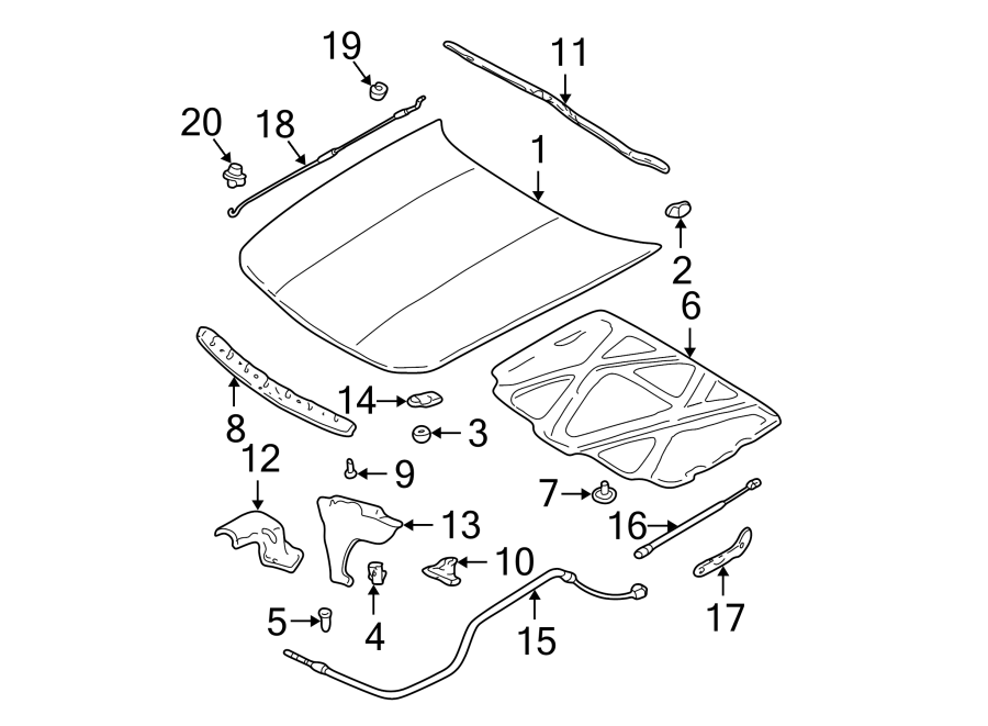 8HOOD & COMPONENTS.https://images.simplepart.com/images/parts/motor/fullsize/DG99120.png