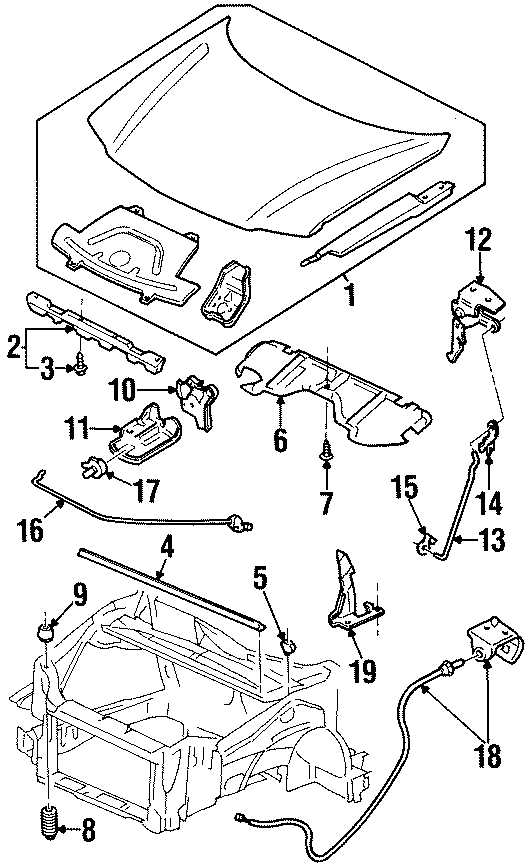 5HOOD & GRILLE. HOOD & COMPONENTS.https://images.simplepart.com/images/parts/motor/fullsize/DH97075.png