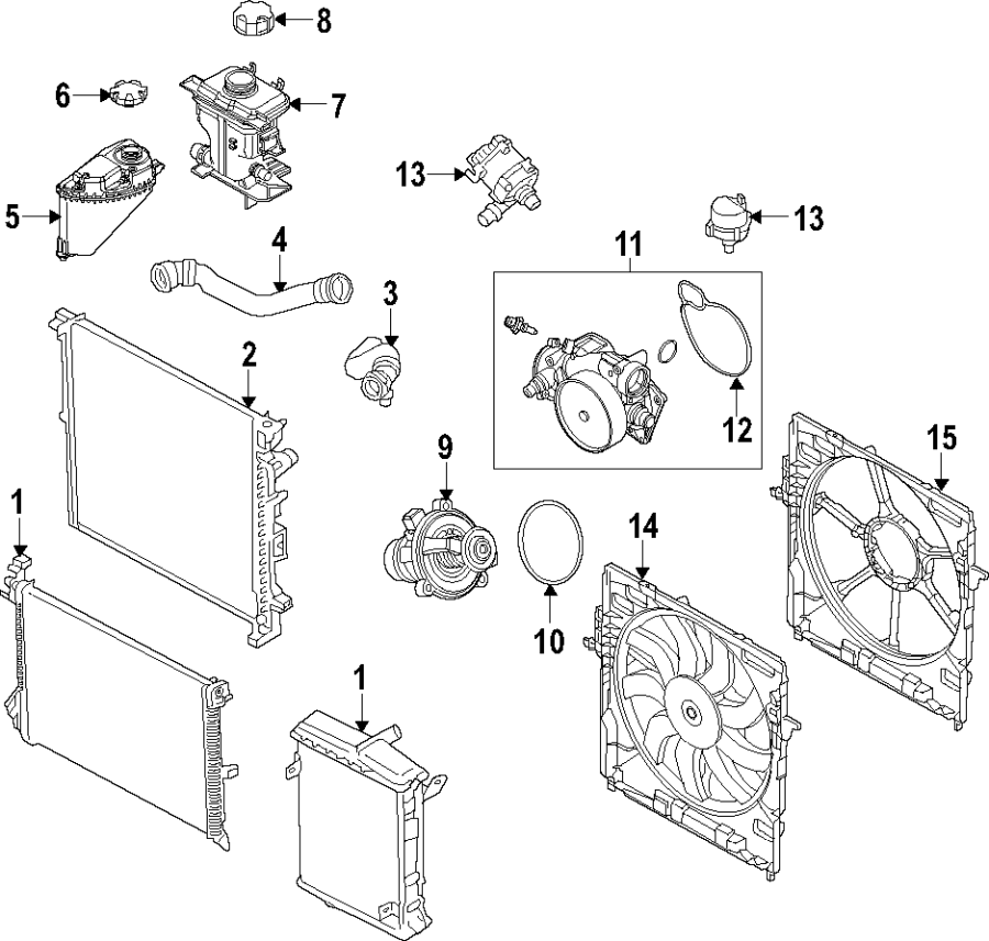 Cooling system. Cooling fan. Water pump.