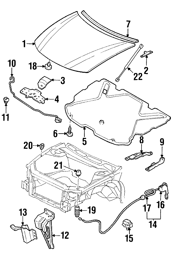 8HOOD & COMPONENTS.https://images.simplepart.com/images/parts/motor/fullsize/FD97130.png