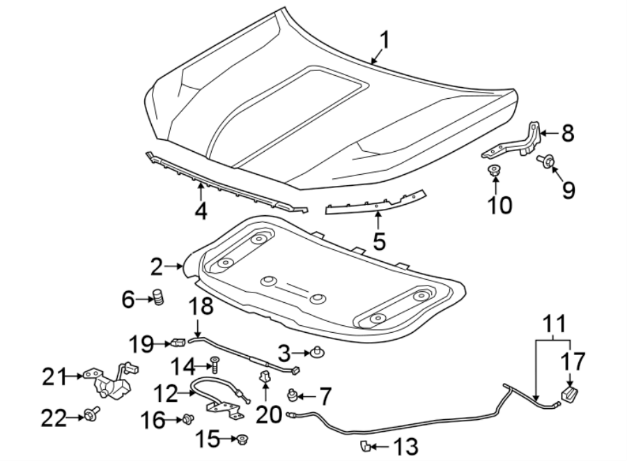 Diagram HOOD & COMPONENTS. for your Pontiac