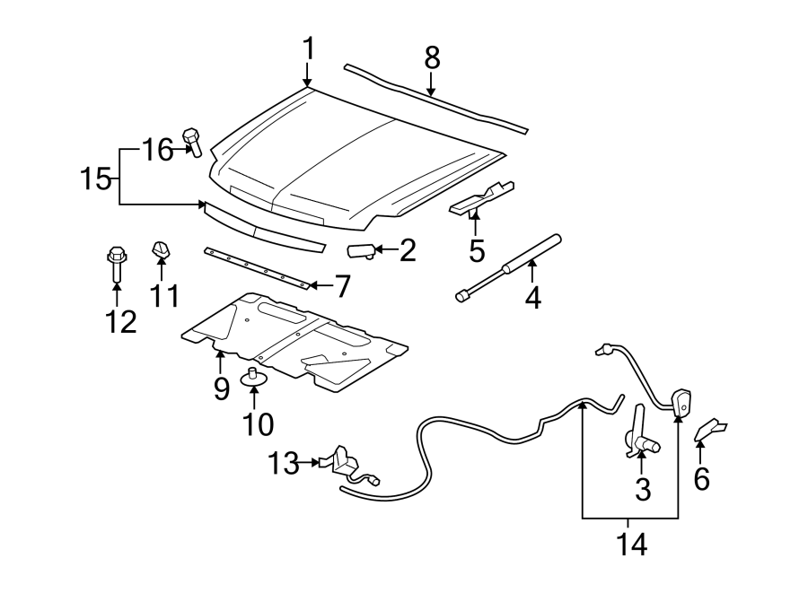 Rear suspension. Exterior trim. Hood & components.