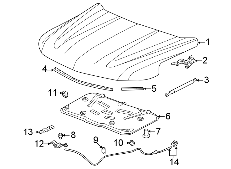 Diagram Hood & components. for your 2021 Chevrolet Suburban  Premier Sport Utility  