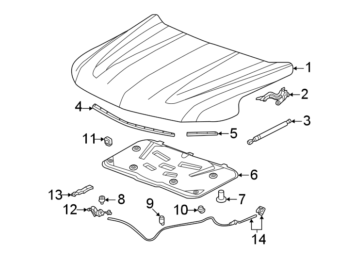 Diagram Hood & components. for your 2020 Chevrolet Suburban    